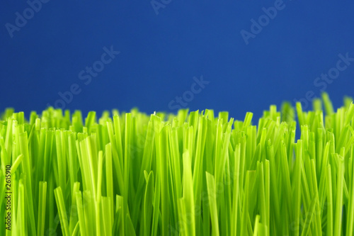green grass straws