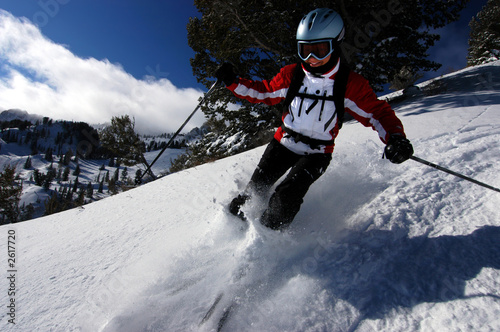 female skier