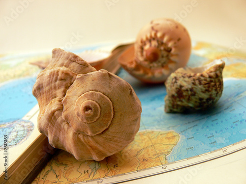 sea associations