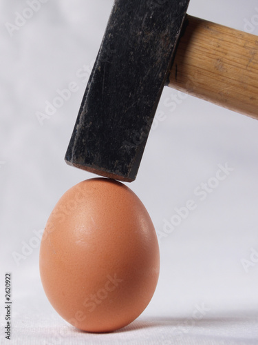 hammer schlägt ei