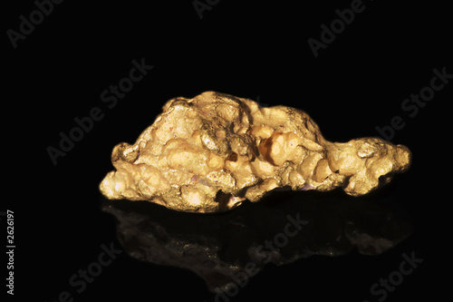 gold nugget