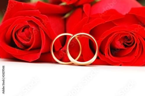 two wedding rings and red roses isolated on white