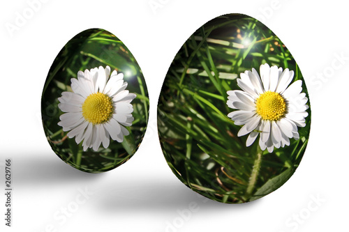 oeufs et pâquerettes
