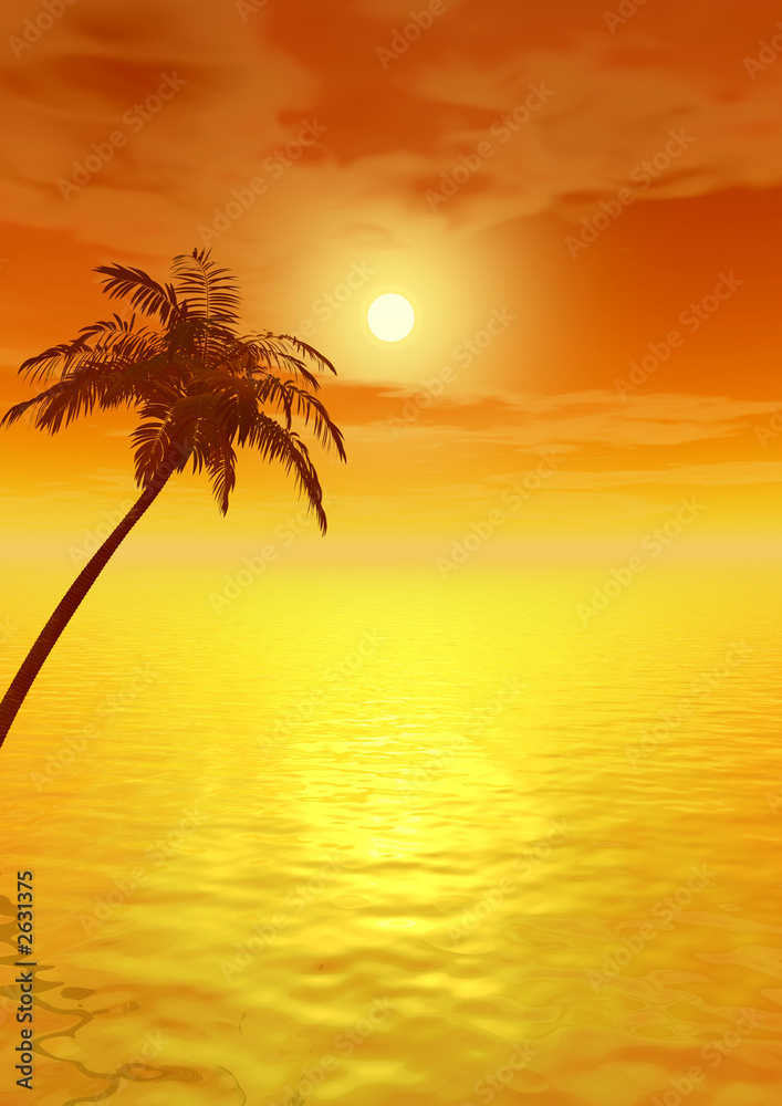 sunset_palm_v
