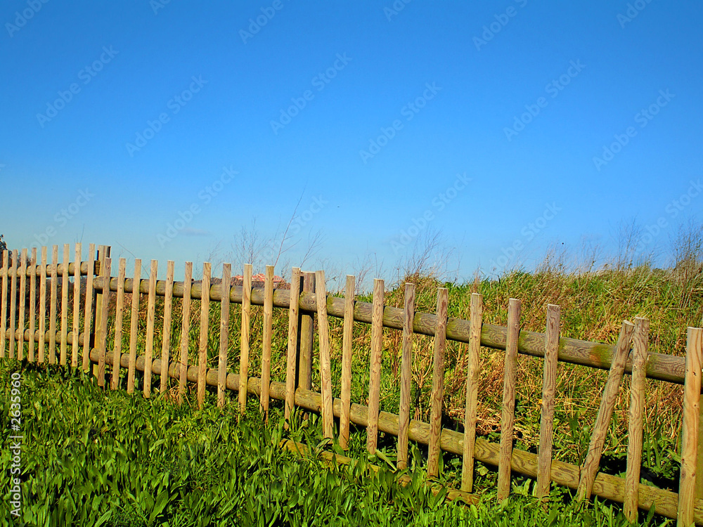 Fototapeta premium green ground
