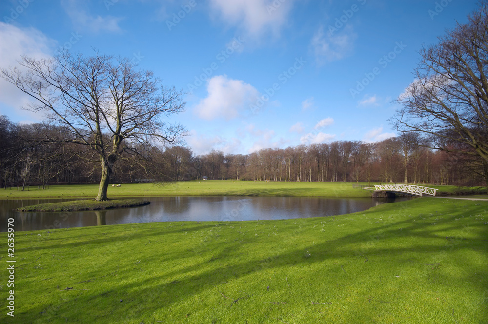 beautiful spring landscape