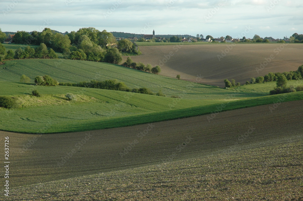 Obraz premium paysage vallonné