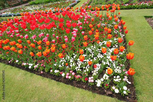 botanical garden