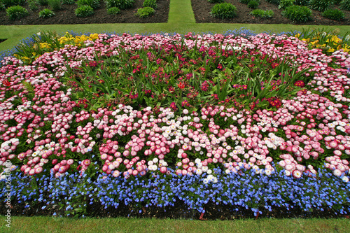 botanical garden