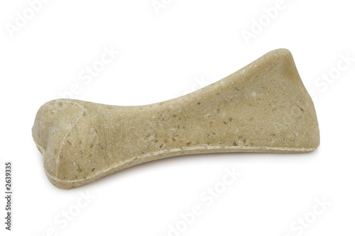 macro of a dog bone, isolated on white