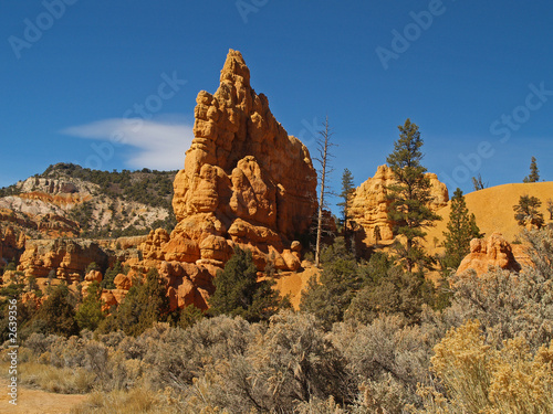 sandstone formations in red canyon