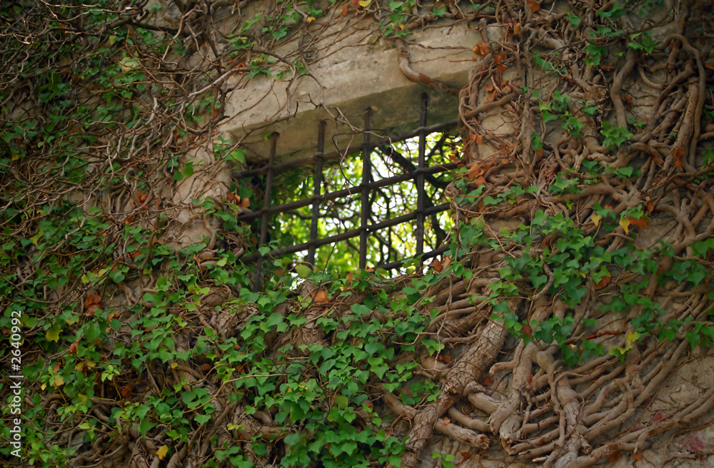 window in city walls of kotor window in city walls of kotor