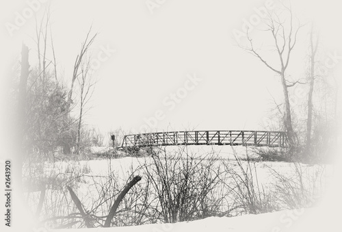 winter scene photo