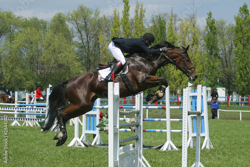 show jumping photo