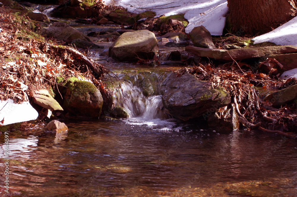 Fototapeta premium peaceful brook