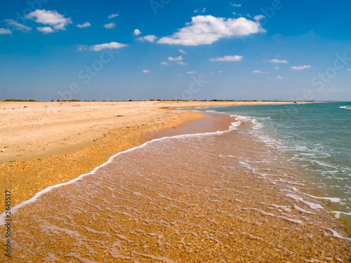 sandy seacoast