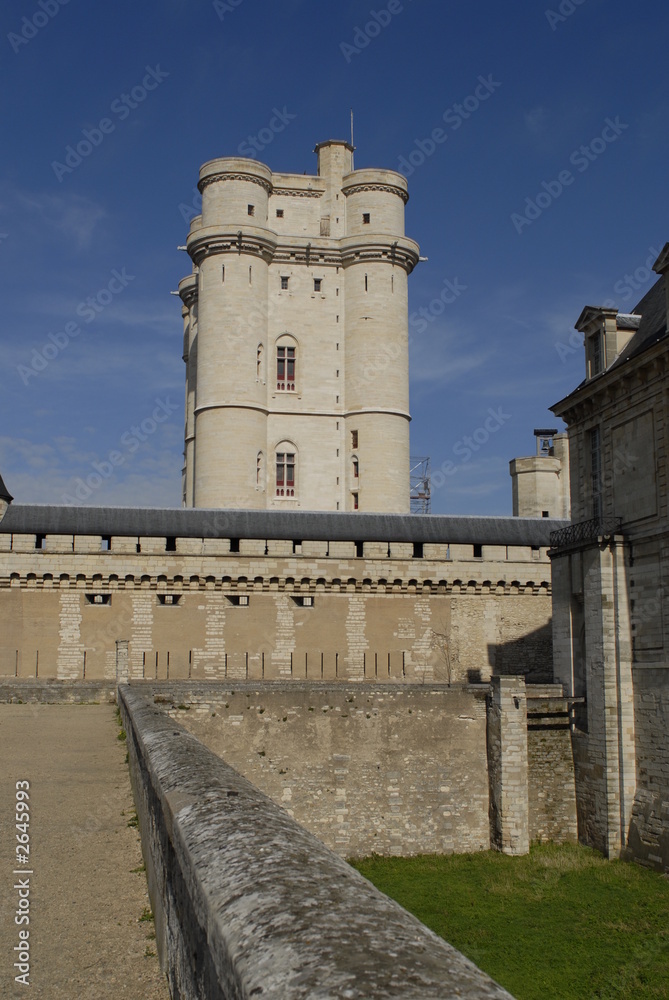 Obraz premium chateau