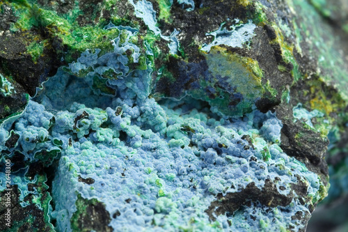 macro di malachite photo
