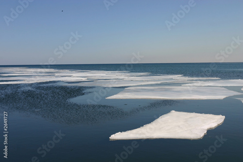 Canvas-taulu ice flow