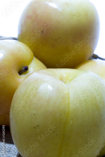 yellow sungold plums photo