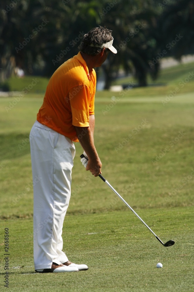 Fototapeta premium golfer