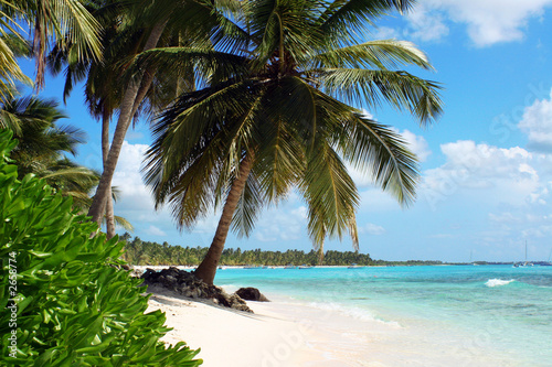 tropical island beach with palm trees #2658774