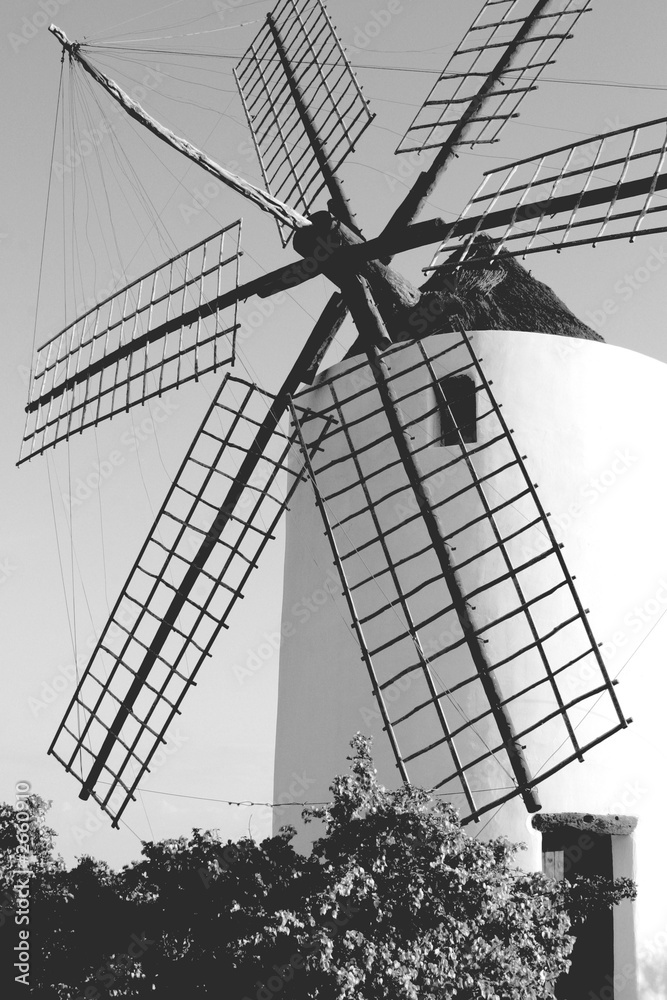 moulin noir et blanc