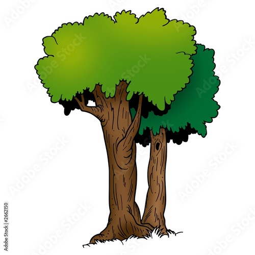 deciduous trees