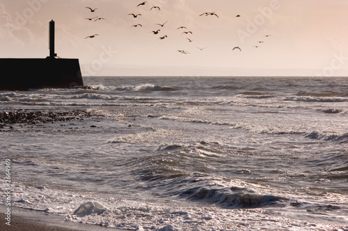 southbeach and harbour, aberystwyth