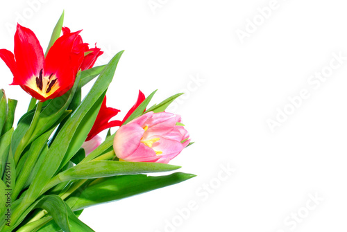 Fototapeta Naklejka Na Ścianę i Meble -  colorful easter flower background, tulips