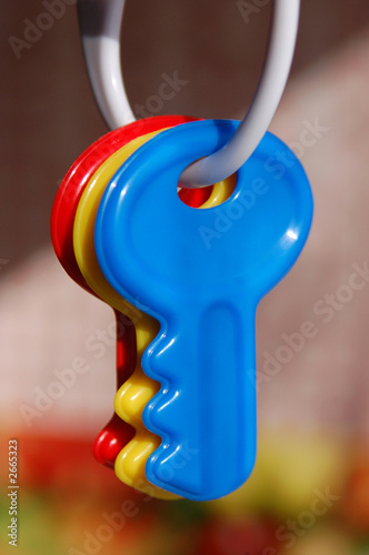 plastic keys