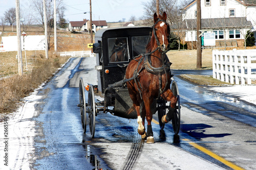 amish
