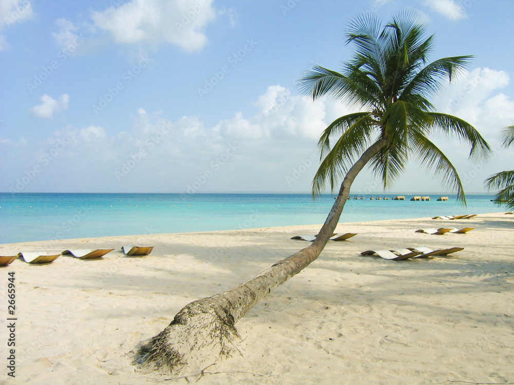 Obraz premium spiaggia isola saona