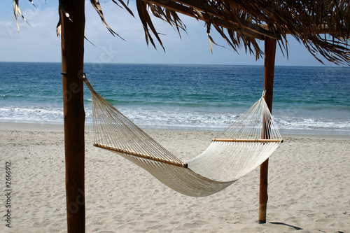 inviting hammock on the beach