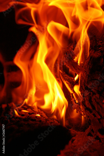 blazing fire wood in red and orange flames with as