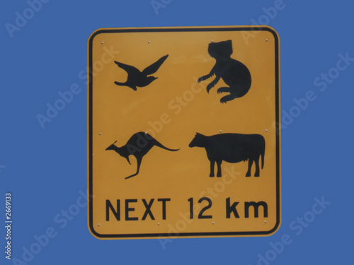 australian wildlife sign koala bear  kangaroo