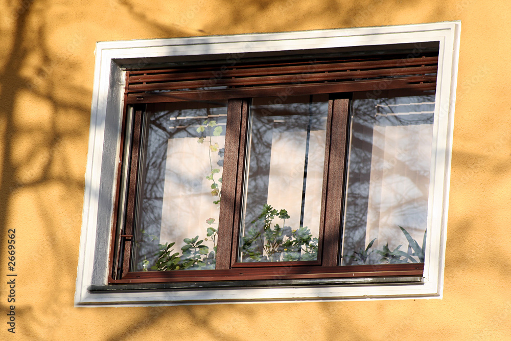 window on the yellow modern house