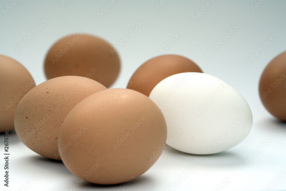 eier eier