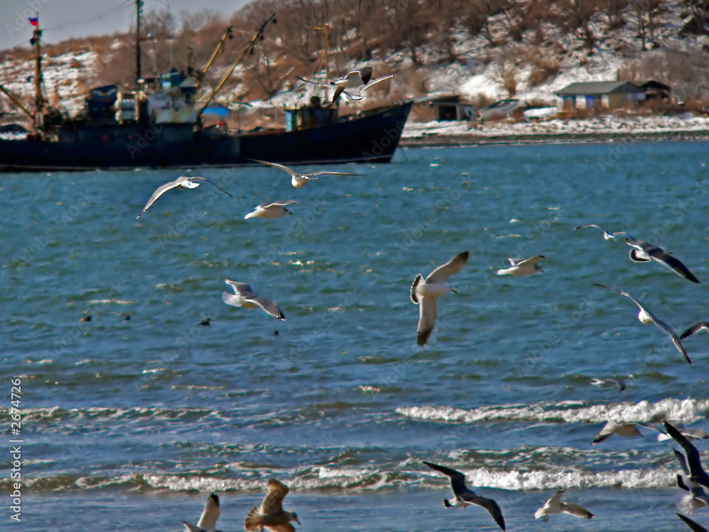 gulls, weaves and ship 1