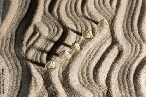 seeds