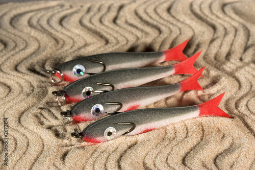 minnows