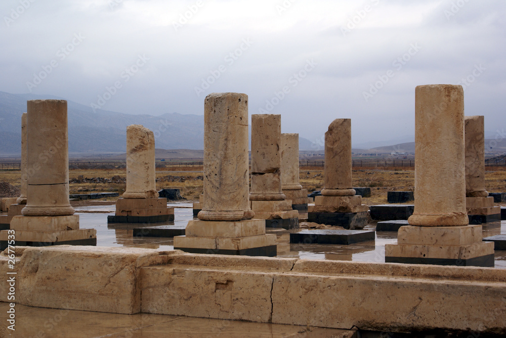 columns in pasargadae