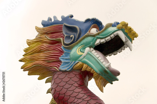 Photography dragon chinois