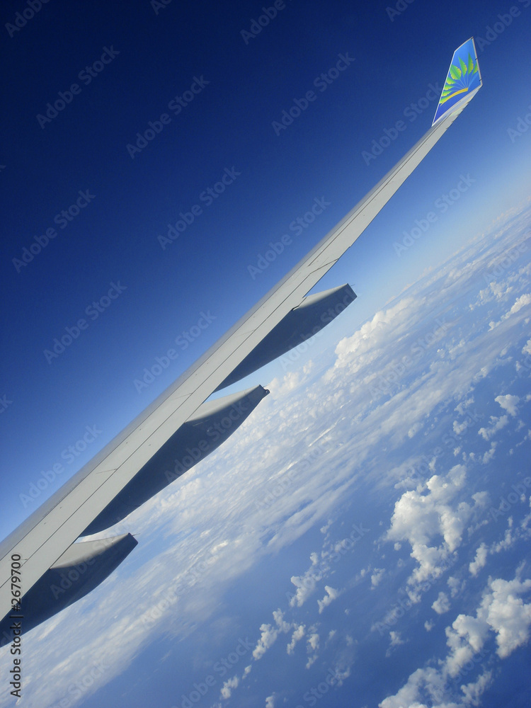 Naklejka premium aile sur le ciel bleu