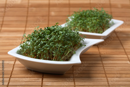 watercress