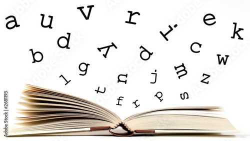 Quadro em tela libro con lettere