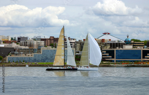 sailboats in pudget sound