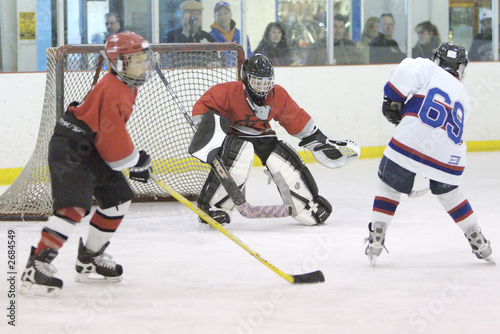 goalie saves a goal