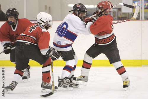 hockey fight