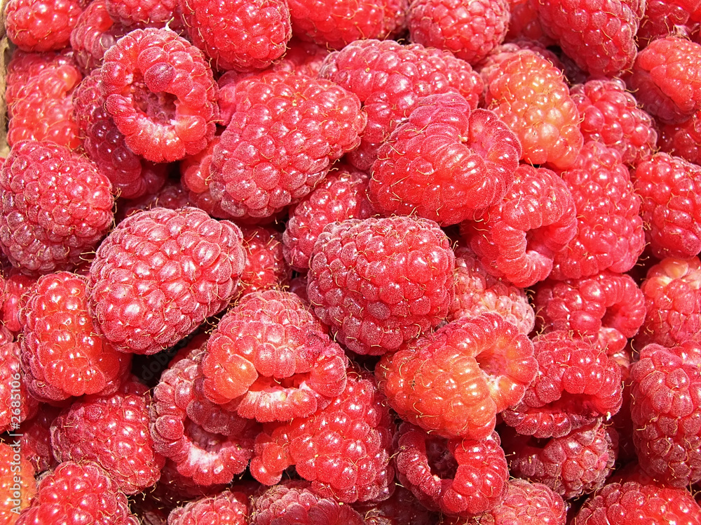 raspberries raspberries